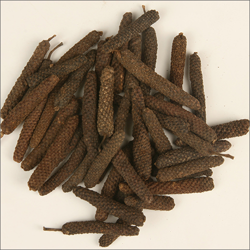 Long Pepper