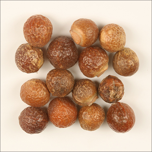 Soap Nuts