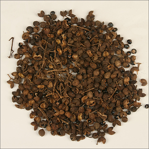 Trifla Seeds