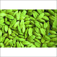 Fresh Cardamom