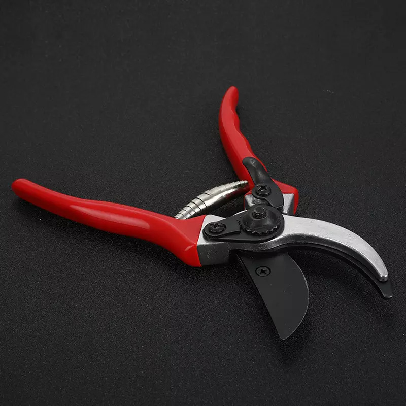 Scissor Shear