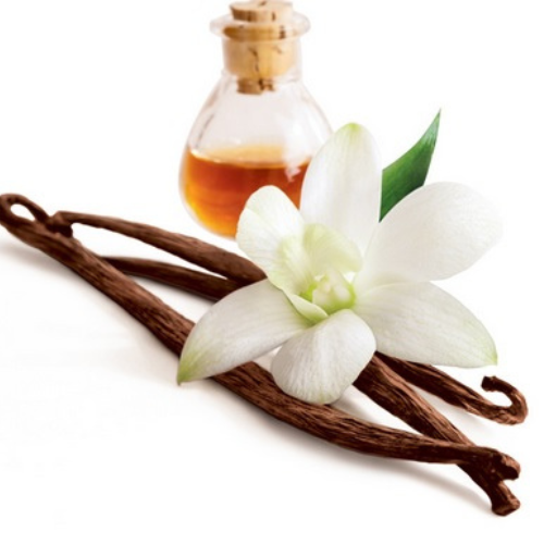 Vanilla Absolute Oil