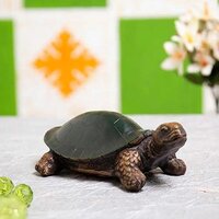 Lucky Turtle Antique showpiece