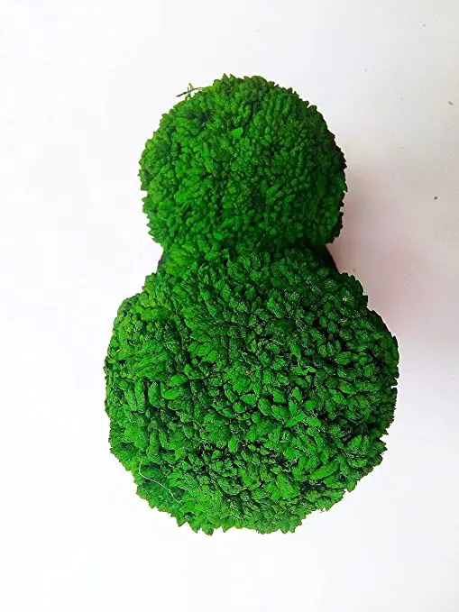 Artificial Bonsai Handicraft Tree Eco Craft