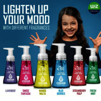 Wiz Luxe Fresh Mint Foaming Hand  Wash - 300ml (Pack of 3)