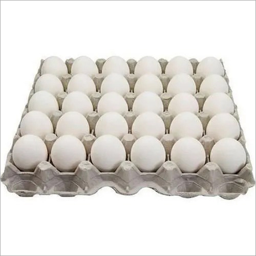 White Egg Egg Origin: Chicken
