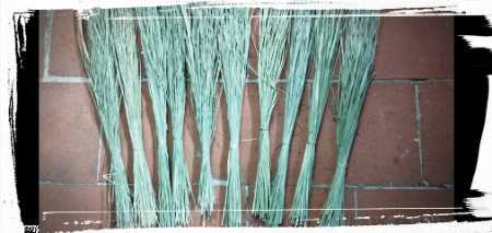 Natural Green Darpha Grass