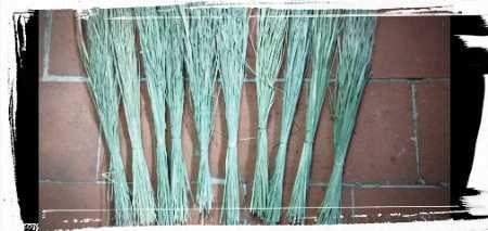 Darpha Grass
