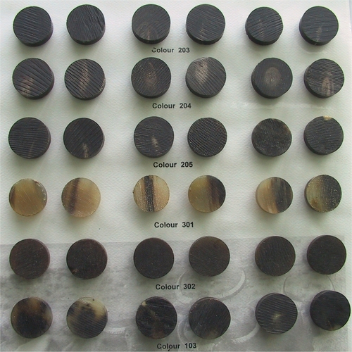 Round Buffalo/Ox Horn Button Blanks