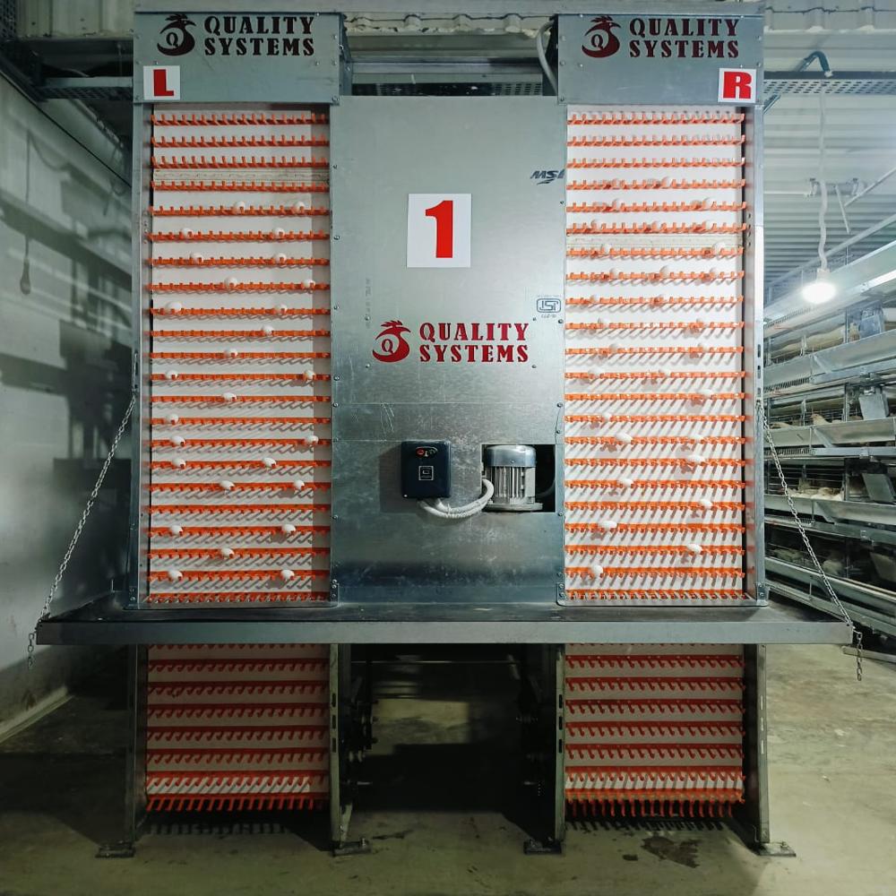Egg Collection System - Weight: Approx. 500 Kg Kilograms (Kg)
