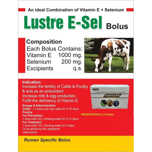 Lustre E-Sel Bolus