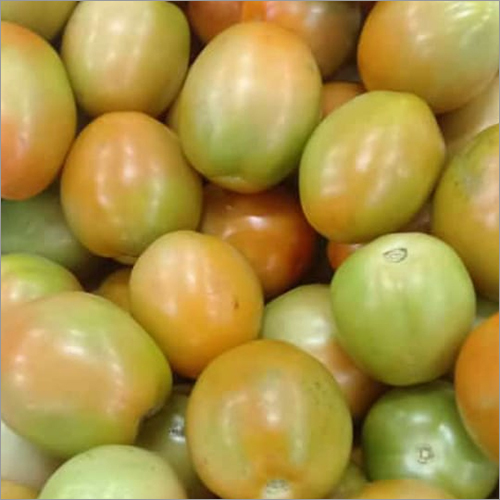 Plant Tomato Moisture (%): Nil