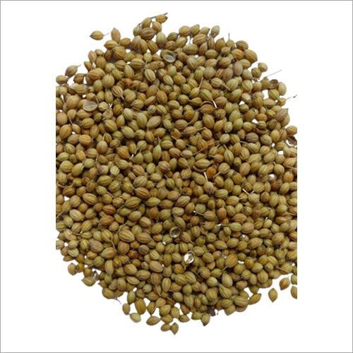 Coriander Seed