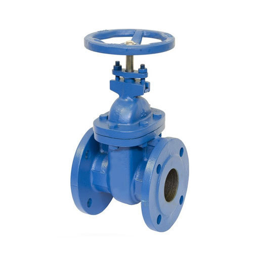 Blue Mild Steel Gate Valve