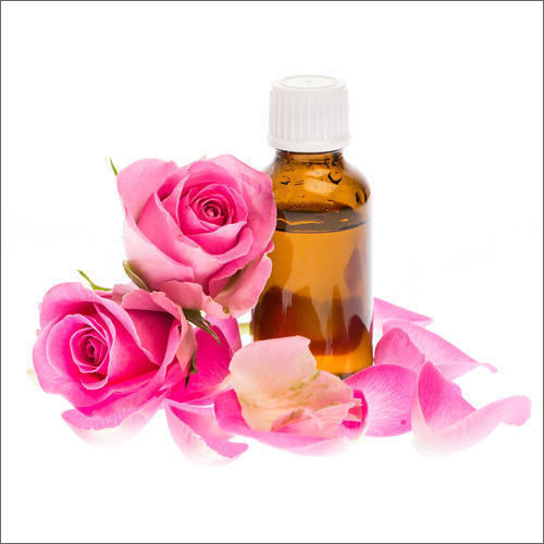 Rose Absolute Oil