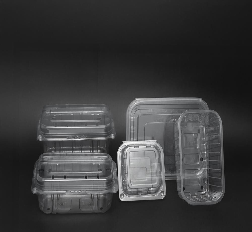Chocolate Plastic Tray - Finishing: Glossy Lamination