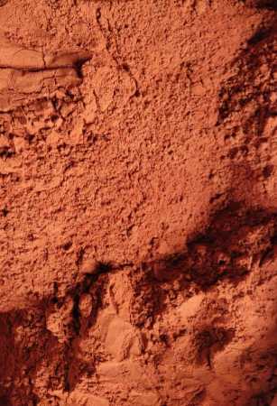 Red Redsandalwood Powder