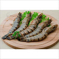 Black Tiger Shrimp Shelf Life: 4-5 Days