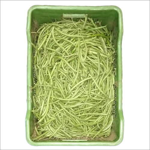 Fresh Beans - Moisture-Rich Raw Nutrients Natural Shape for Heart and Bone Health
