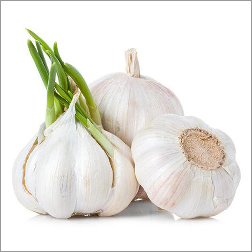 Fresh Garlic - Seasoned Dried Natural Bulbs | Moisture-Free, 1-Year Shelf Life