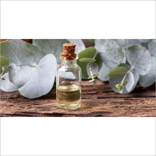 Eucalyptus Globules Oil Storage: Dry Place