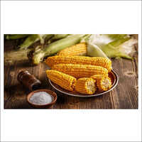Raw Maize - High Purity, Fresh Style | Rich In Vital Minerals, Aids In Skin Health