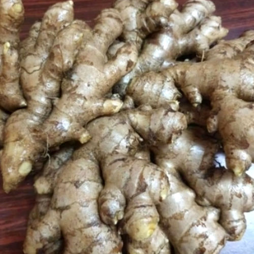 Fresh Ginger Moisture (%): Nil