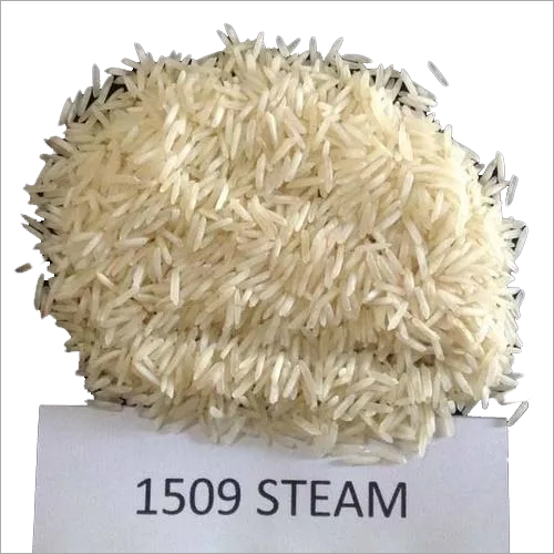 White 1509 Steam Rice