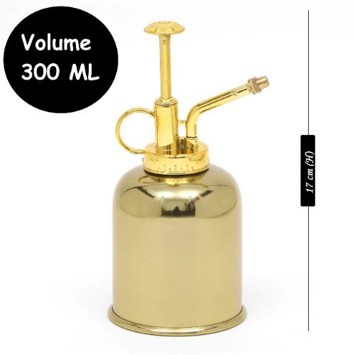 Water Mist Mini Sprayer Can