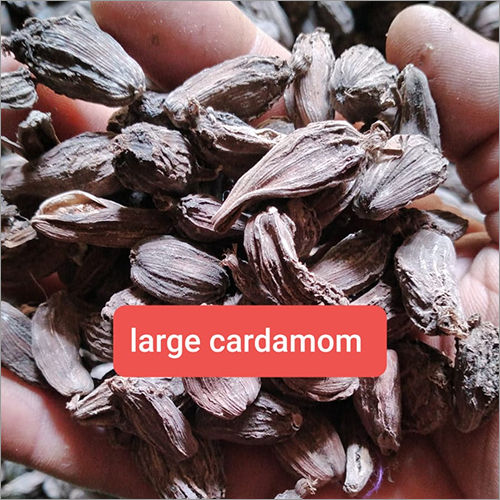 Large Cardamom Grade: A