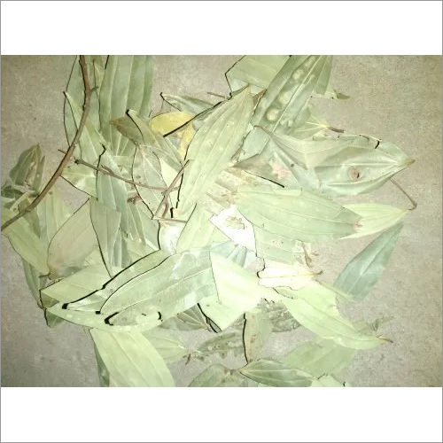 Natural Bay Leaf