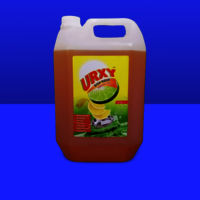 DISH WASH LIQUID GEL