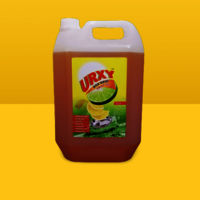 DISH WASH LIQUID GEL