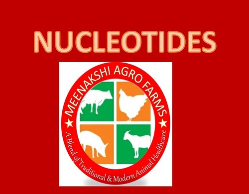 Nucleotides Probiotic Powder
