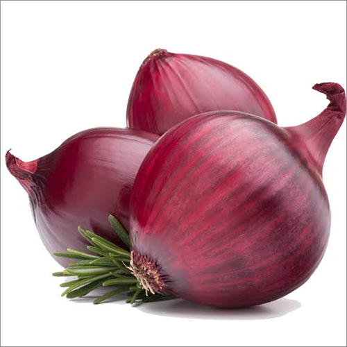 Large Red Onion