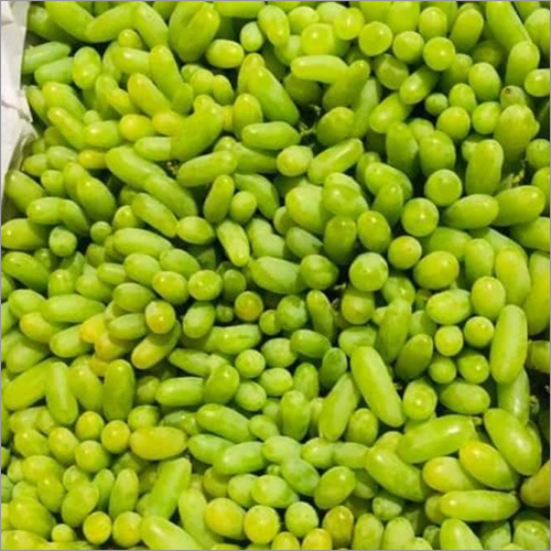 Long Size Green Grapes