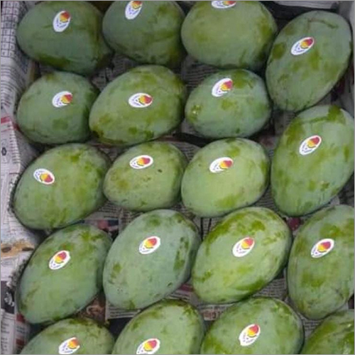 Common Green Langra Mango