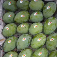 Green Langra Mango - Whole, Non Glutinous | Sweet Taste, Common Cultivation, Rich In Essential Vitamins And Minerals