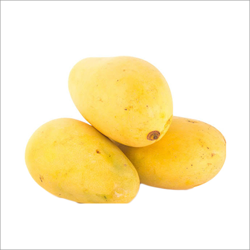 Organic Ratnagiri Mango