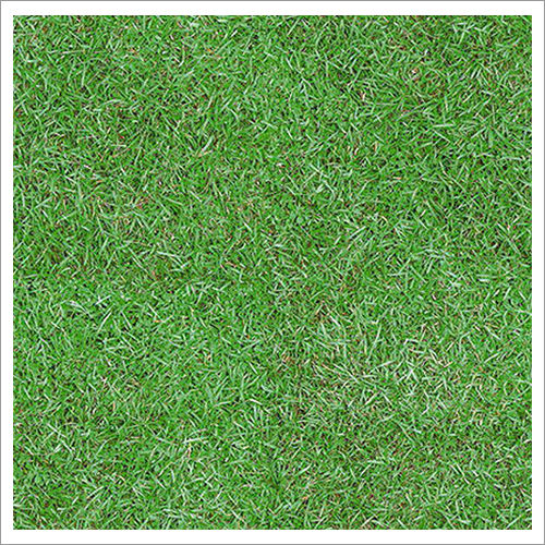 300 X 300 MM Green Series Matt Digital Parking Tiles
