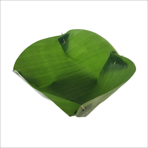 Fresh Banana Leaf Bowl Application: Commercial