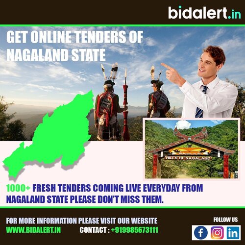 Nagaland Tender Information Service