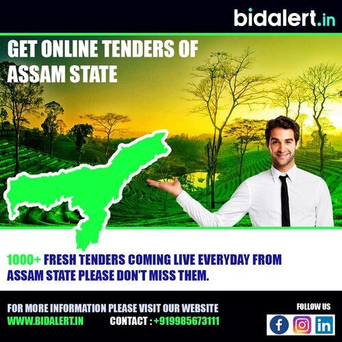 Assam Tender Information Service in VIDYANAGAR GUNTUR, Guntur V