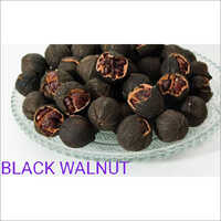 Common Black Walnut