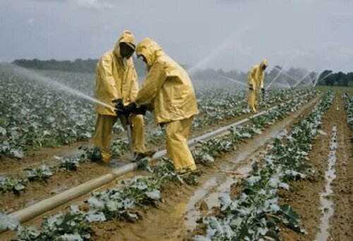 Agriculture tender information