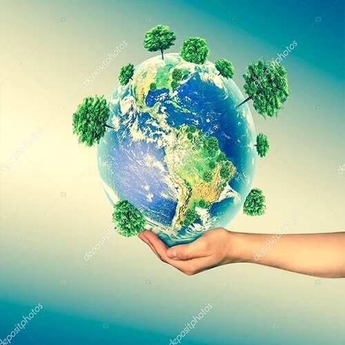 Environment  Forest  Sector tender information