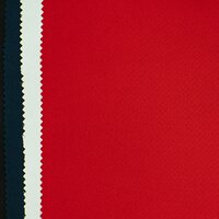 N S ( TZ ) Lycra Fabric