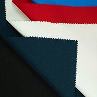 N S ( TZ ) Lycra Fabric