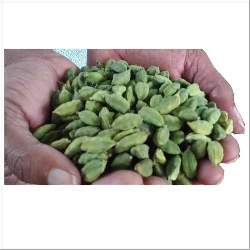 Green Cardamom - 7-8mm Export Quality, Strong Flavor & Sweet Spicy Aroma, 9-Month Shelf Life