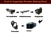 Ginger Powder Making Plant